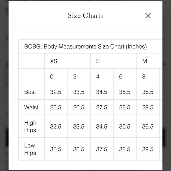 BCBGMAXAZRIA Ruffled Point D'esprit Gown - Picture 9 of 10